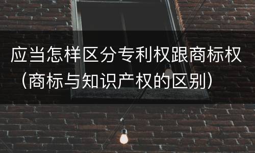 应当怎样区分专利权跟商标权（商标与知识产权的区别）