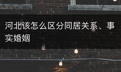 河北该怎么区分同居关系、事实婚姻