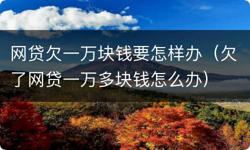 网贷欠一万块钱要怎样办（欠了网贷一万多块钱怎么办）