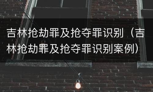 吉林抢劫罪及抢夺罪识别（吉林抢劫罪及抢夺罪识别案例）