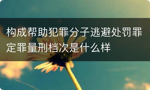 构成帮助犯罪分子逃避处罚罪定罪量刑档次是什么样