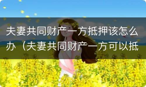 夫妻共同财产一方抵押该怎么办（夫妻共同财产一方可以抵押吗）