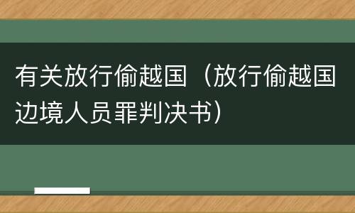 有关放行偷越国（放行偷越国边境人员罪判决书）