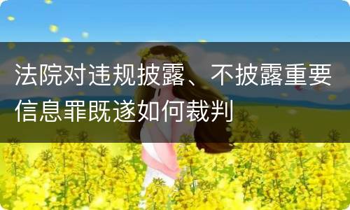 法院对违规披露、不披露重要信息罪既遂如何裁判