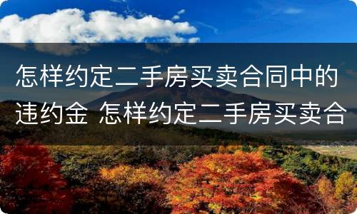 怎样约定二手房买卖合同中的违约金 怎样约定二手房买卖合同中的违约金呢