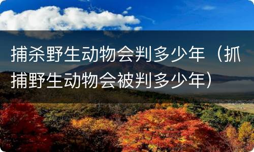 捕杀野生动物会判多少年（抓捕野生动物会被判多少年）