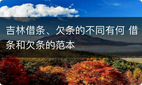 吉林借条、欠条的不同有何 借条和欠条的范本