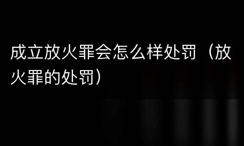 成立放火罪会怎么样处罚（放火罪的处罚）