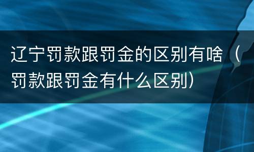 辽宁罚款跟罚金的区别有啥（罚款跟罚金有什么区别）