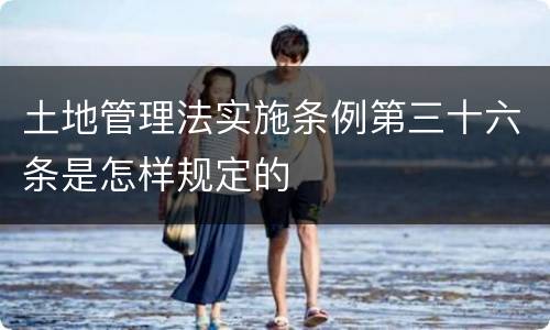 土地管理法实施条例第三十六条是怎样规定的