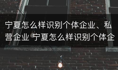 宁夏怎么样识别个体企业、私营企业 宁夏怎么样识别个体企业,私营企业名录