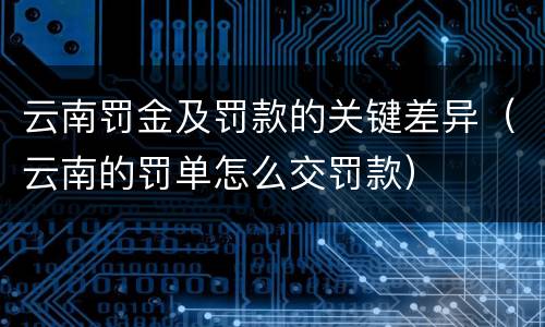 云南罚金及罚款的关键差异（云南的罚单怎么交罚款）