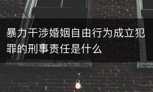 暴力干涉婚姻自由行为成立犯罪的刑事责任是什么