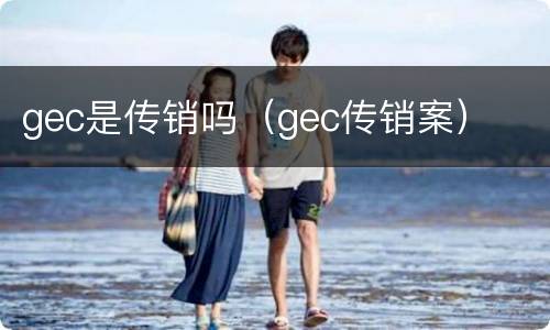 gec是传销吗（gec传销案）