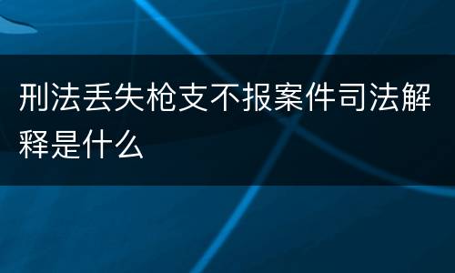刑法丢失枪支不报案件司法解释是什么