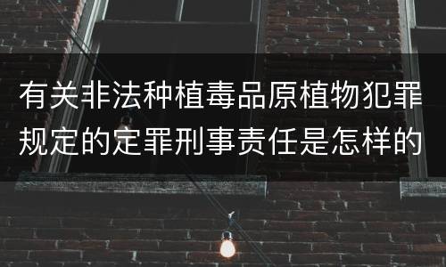 有关非法种植毒品原植物犯罪规定的定罪刑事责任是怎样的