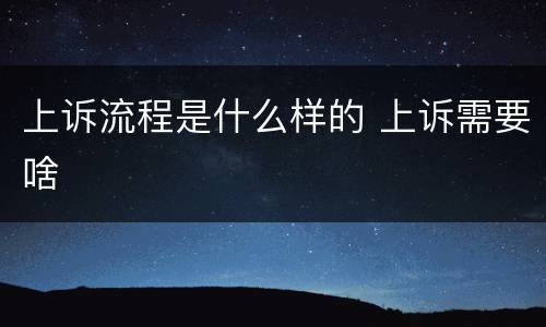 上诉流程是什么样的 上诉需要啥