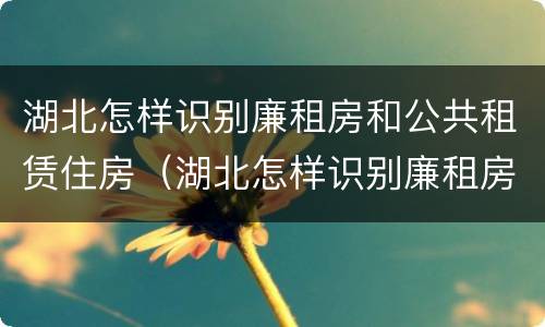 湖北怎样识别廉租房和公共租赁住房（湖北怎样识别廉租房和公共租赁住房呢）