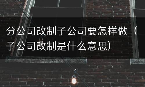分公司改制子公司要怎样做（子公司改制是什么意思）