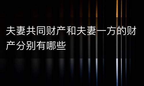 夫妻共同财产和夫妻一方的财产分别有哪些