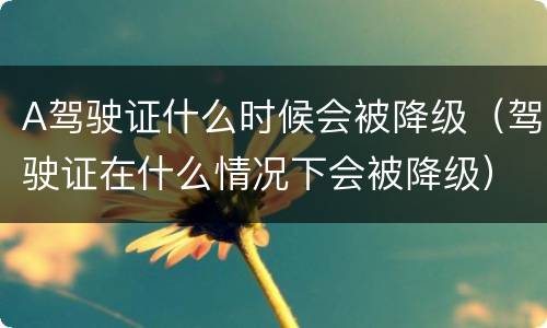 A驾驶证什么时候会被降级（驾驶证在什么情况下会被降级）