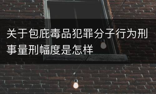 关于包庇毒品犯罪分子行为刑事量刑幅度是怎样