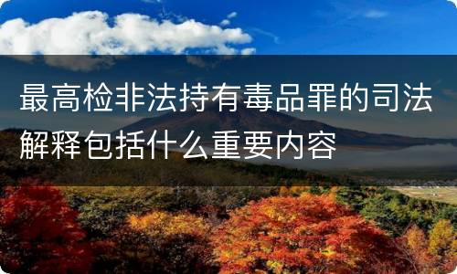 最高检非法持有毒品罪的司法解释包括什么重要内容