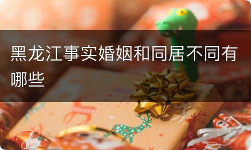 黑龙江事实婚姻和同居不同有哪些