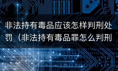 非法持有毒品应该怎样判刑处罚（非法持有毒品罪怎么判刑）