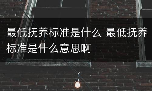 最低抚养标准是什么 最低抚养标准是什么意思啊