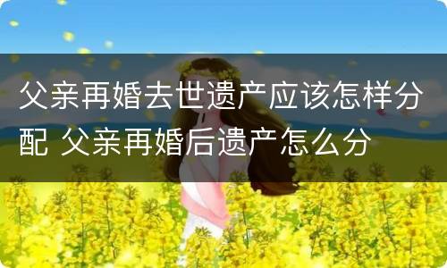 父亲再婚去世遗产应该怎样分配 父亲再婚后遗产怎么分