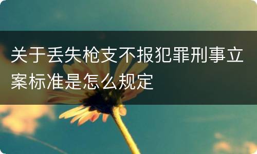 关于丢失枪支不报犯罪刑事立案标准是怎么规定
