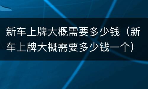 新车上牌大概需要多少钱（新车上牌大概需要多少钱一个）