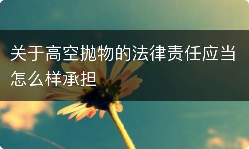 关于高空抛物的法律责任应当怎么样承担