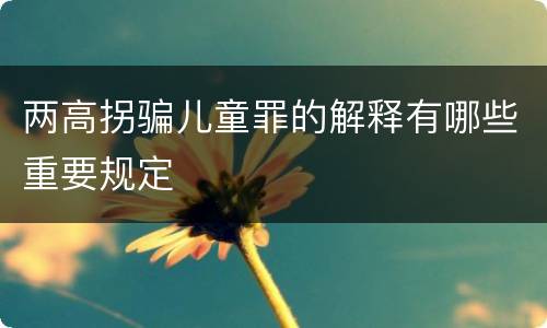 两高拐骗儿童罪的解释有哪些重要规定