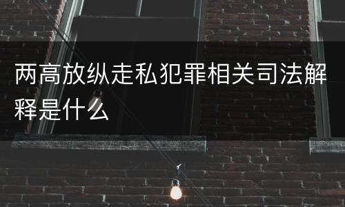两高放纵走私犯罪相关司法解释是什么