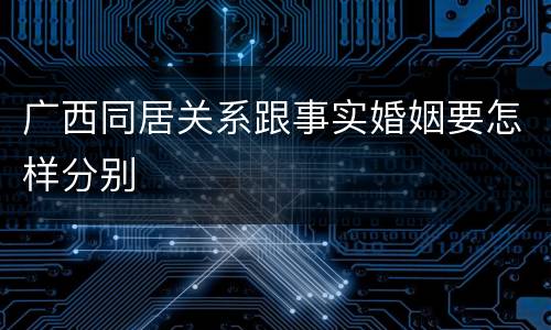 广西同居关系跟事实婚姻要怎样分别