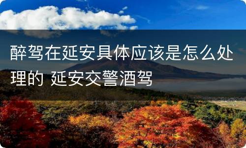 醉驾在延安具体应该是怎么处理的 延安交警酒驾