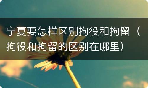 宁夏要怎样区别拘役和拘留（拘役和拘留的区别在哪里）