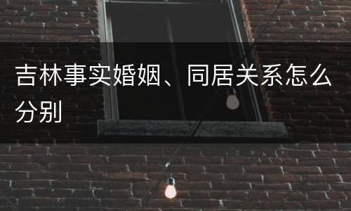 吉林事实婚姻、同居关系怎么分别