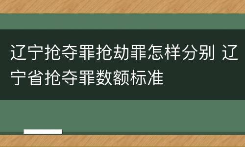 辽宁抢夺罪抢劫罪怎样分别 辽宁省抢夺罪数额标准