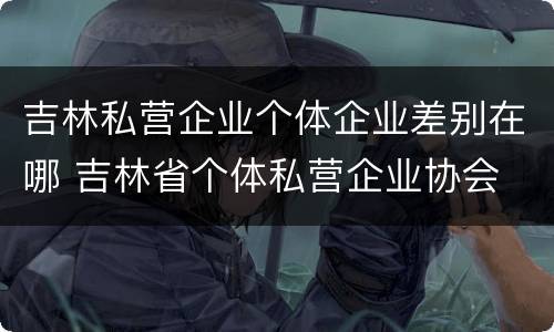 吉林私营企业个体企业差别在哪 吉林省个体私营企业协会