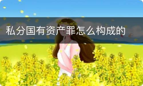 私分国有资产罪怎么构成的