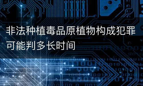 非法种植毒品原植物构成犯罪可能判多长时间