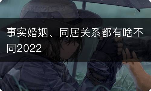 事实婚姻、同居关系都有啥不同2022