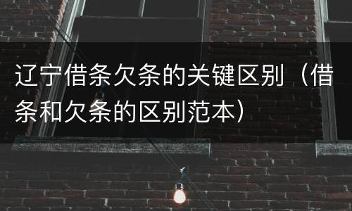 辽宁借条欠条的关键区别（借条和欠条的区别范本）