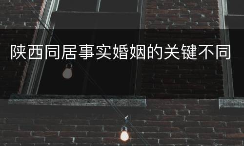 陕西同居事实婚姻的关键不同