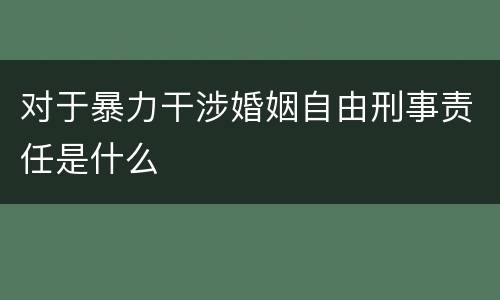 对于暴力干涉婚姻自由刑事责任是什么