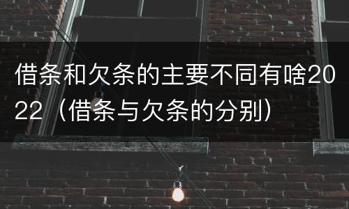 借条和欠条的主要不同有啥2022（借条与欠条的分别）