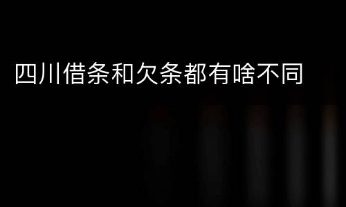 四川借条和欠条都有啥不同